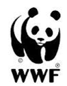 WWF