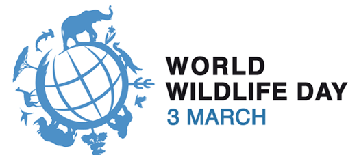 cites-worldlife-day