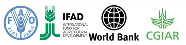 ifad-fao-worldbank-cgiar