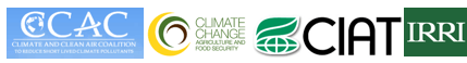 ccac-ccaf-ciat-irri