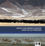 central-asian-mammals-initiative