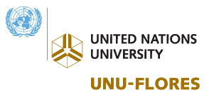 logo_unu_flores