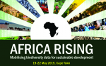 africa-rising