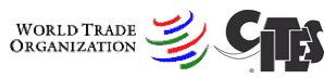 wto-cites