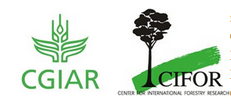 cgiar_cifor