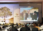 cop12unccd