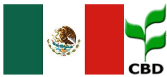 mexico_cbd