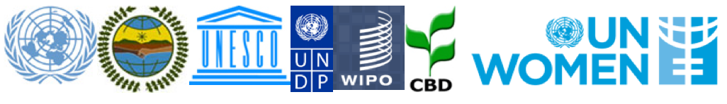 un_pfii_unesco_undp_wipo_cbd_unwomen