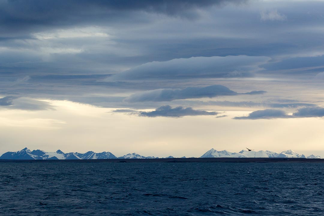 Ocean and Seas Summit
