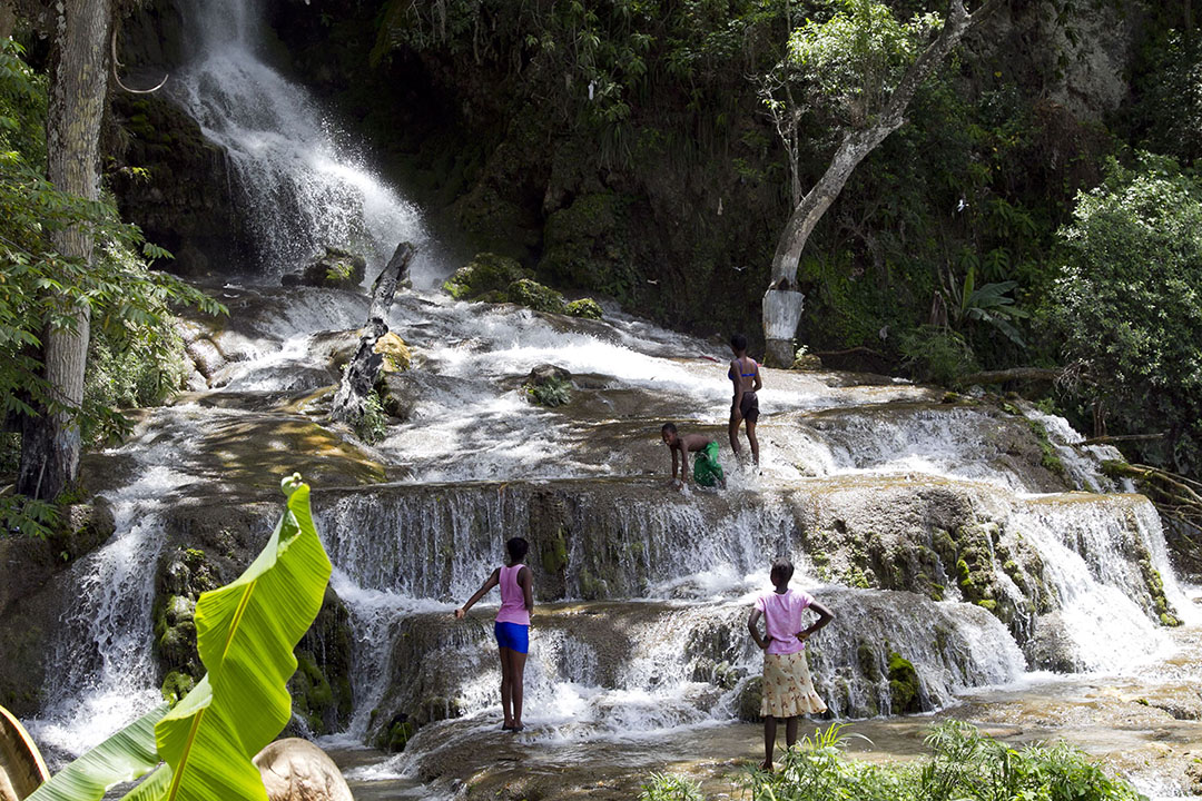 UN Reports Identify Nature-based Solutions’ Role in Driving Peace, Jobs