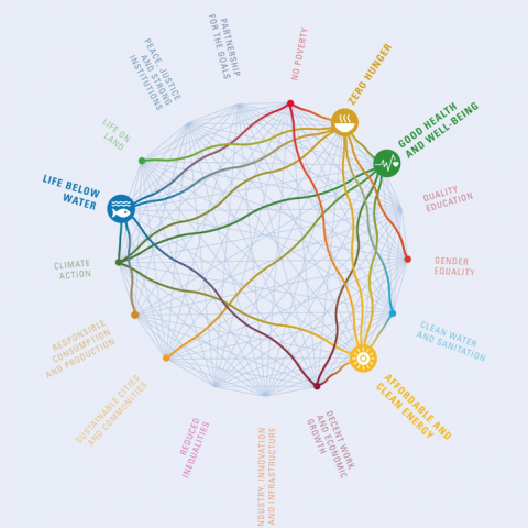 SDG-interactions-analyzed-in-depth