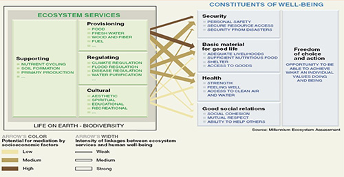 cosystem-Services-and-Human-Well-Being 