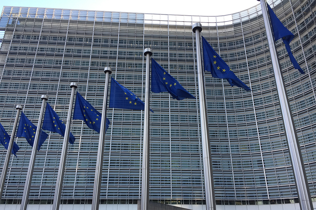 Eurostat Report Shows EU’s Regression on Biodiversity, Water Goals