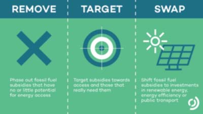 cosystem-strategy-priorities 