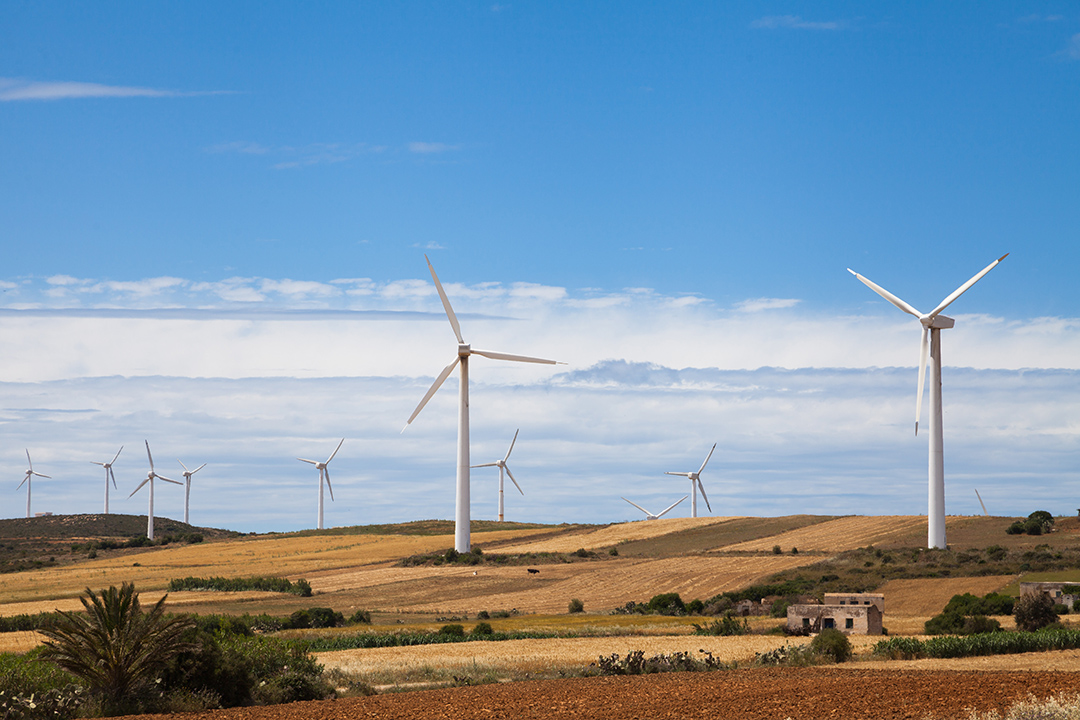 Halfway Point Webinar Updates on Week One of COP 29 Talks, Previews Week Two