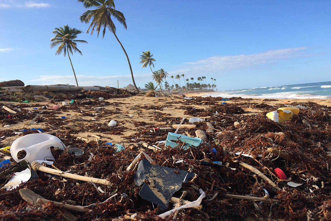 Adaptation Gap Report 2024 Calls for New Commitment on Finance at COP 29