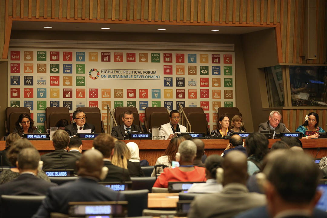 39 Countries to Present VNRs at HLPF 2025