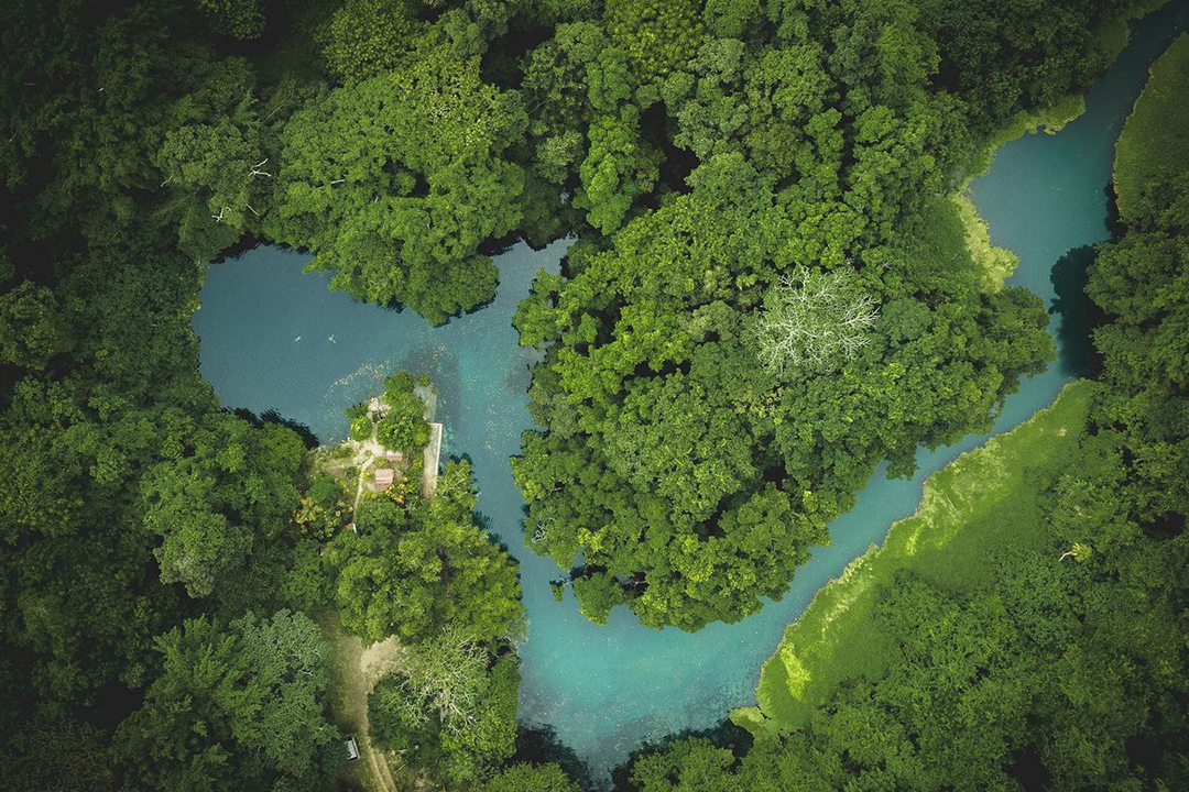 International Day for Biological Diversity 2029