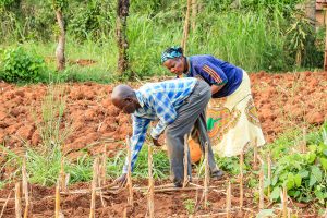 Food Day Explores Food Security, Biodiversity Links