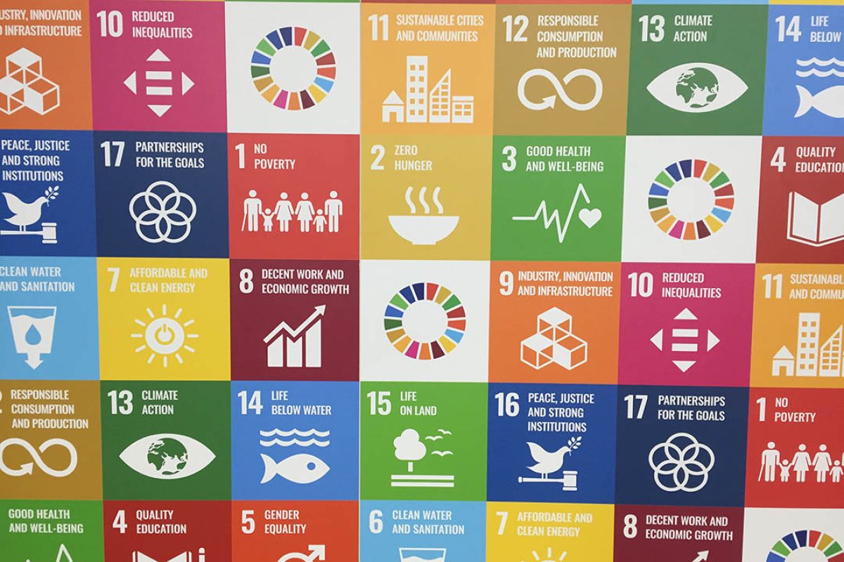 Are We Serious About Achieving the SDGs? A Statistician's Perspective – SDG  Knowledge Hub