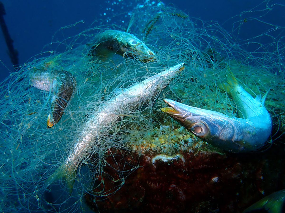comercial fishing nets ghost fishing Ghost Gear: The Hidden Face of Plastic Pollution – SDG Knowledge Hub
