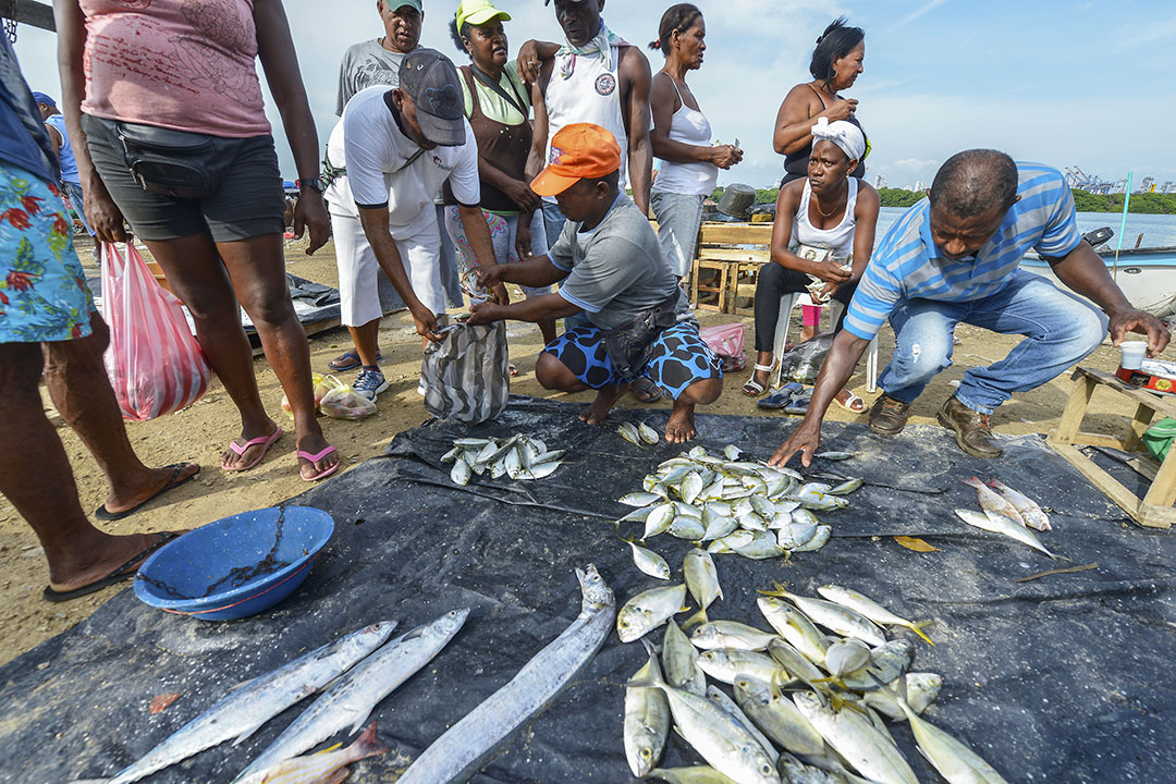 Special and Differential Treatment for IUU Fishing in Focus at WTO ...