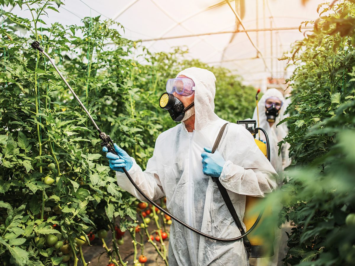 Food Systems and Chemicals: Addressing Highly Hazardous Pesticides  SDG  Knowledge Hub