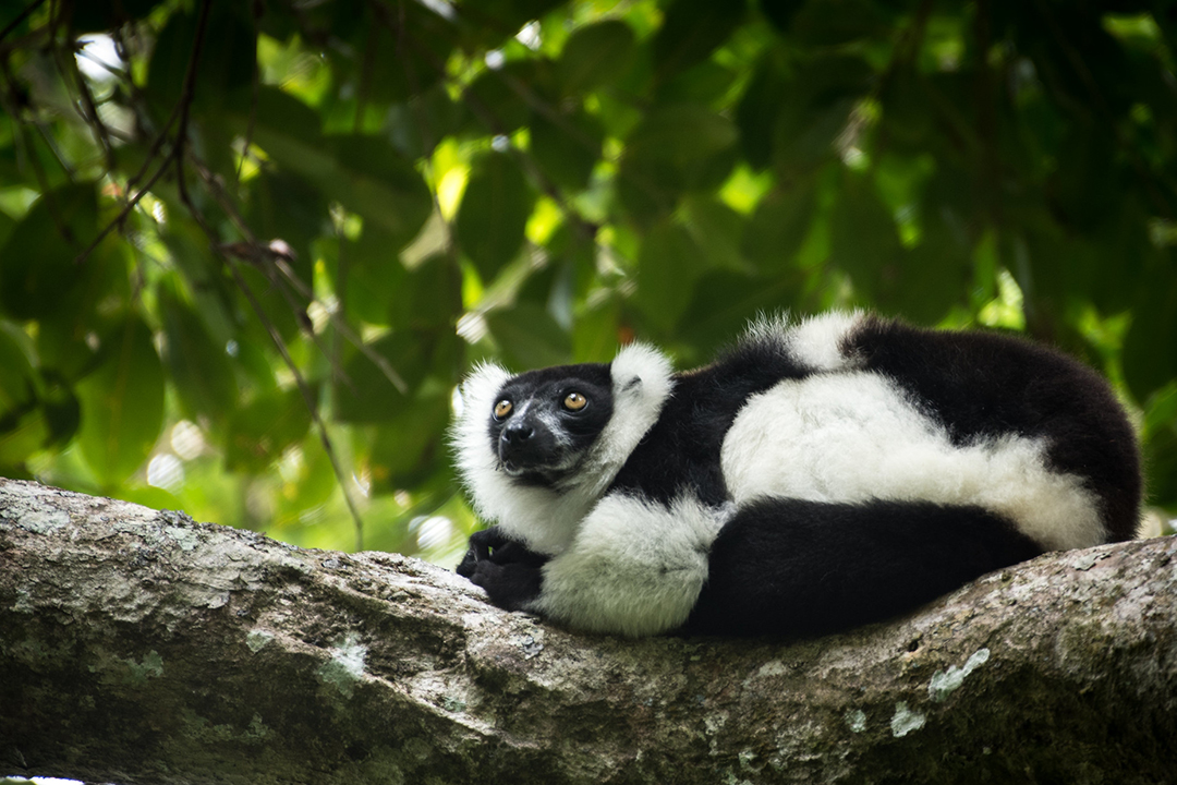 International Day for Biological Diversity 2028