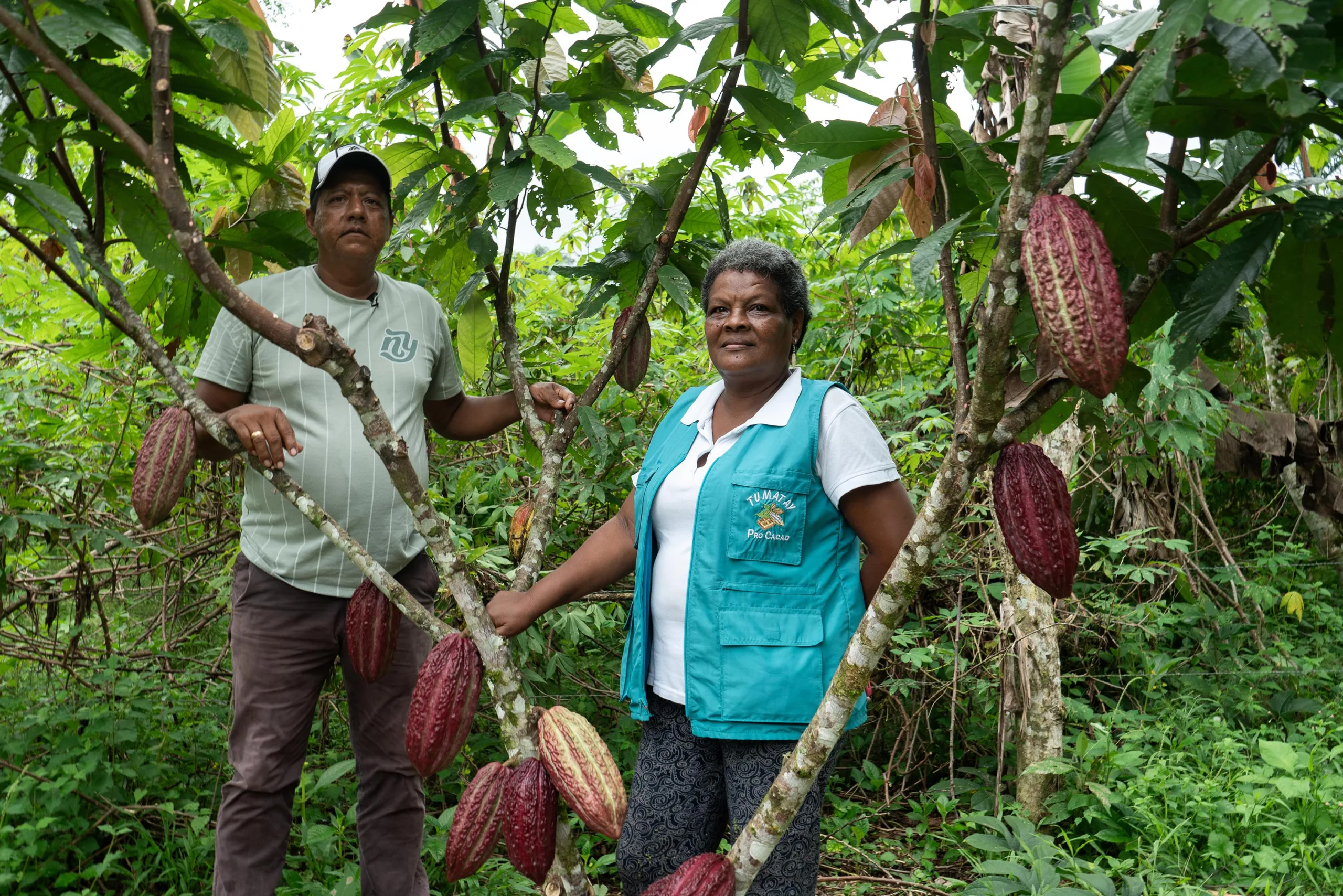 Food security is key to making ‘Peace with Nature’  