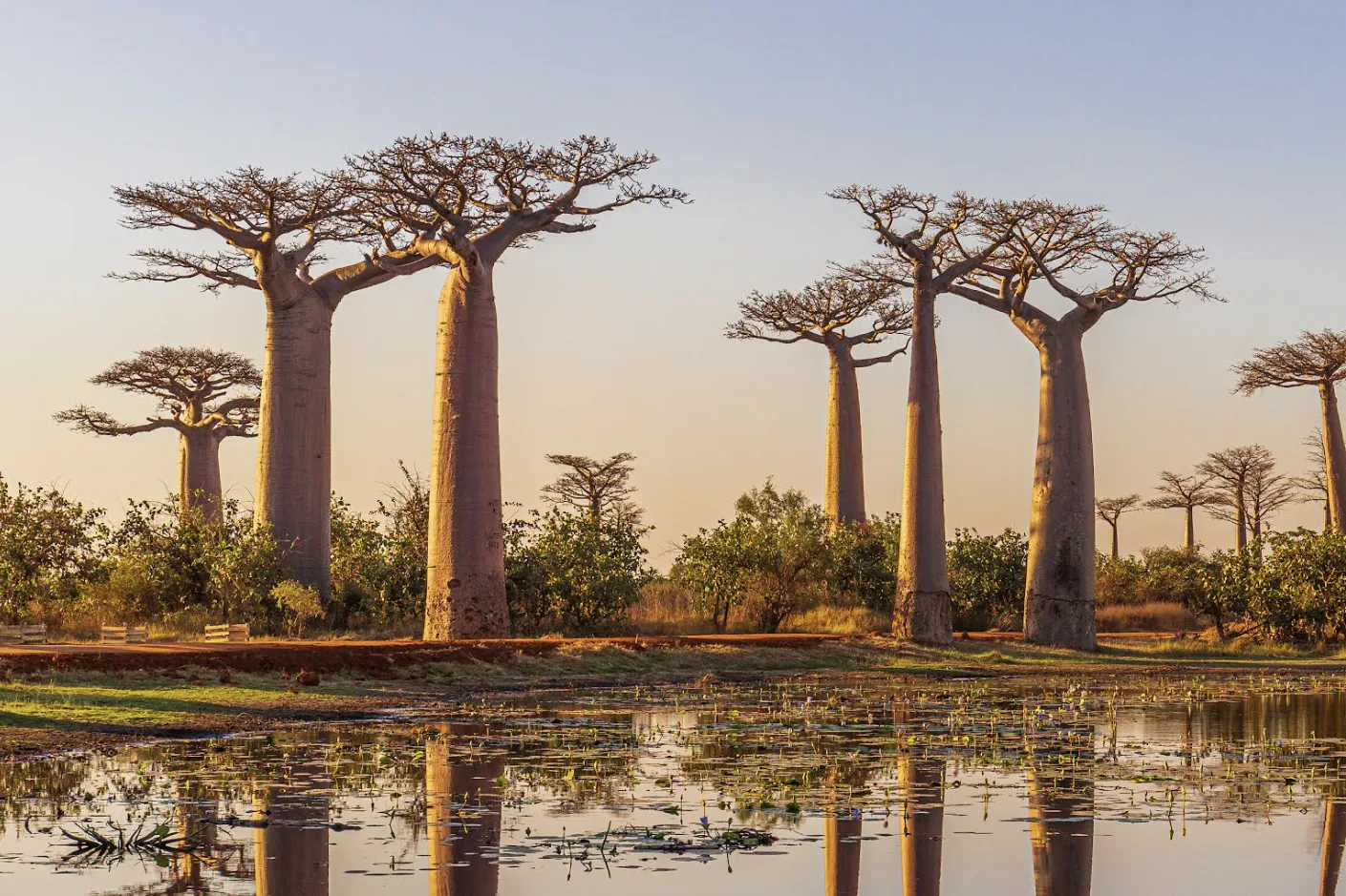 15 Years of Global Action Against Wildlife Crime – SDG Knowledge Hub