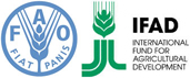 FAO - IFAD