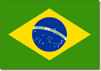 Brazilian flag